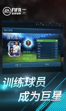 fifa足球世界体验服2024游戏截图2